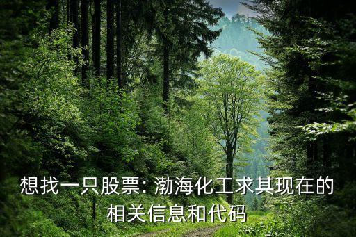 想找一只股票: 渤?；で笃洮F(xiàn)在的相關(guān)信息和代碼