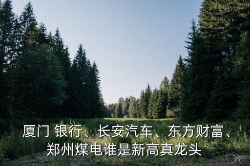  廈門 銀行、長(zhǎng)安汽車、東方財(cái)富、鄭州煤電誰(shuí)是新高真龍頭