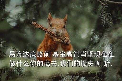  易方達策略前 基金高管肖堅現在在做什么你的離去,我們的損失啊,哈...
