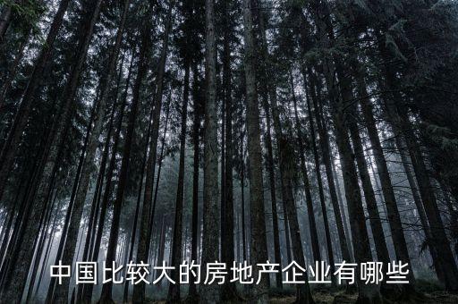 中國比較大的房地產企業(yè)有哪些