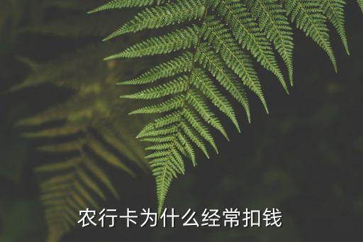 農(nóng)行卡為什么經(jīng)?？坼X