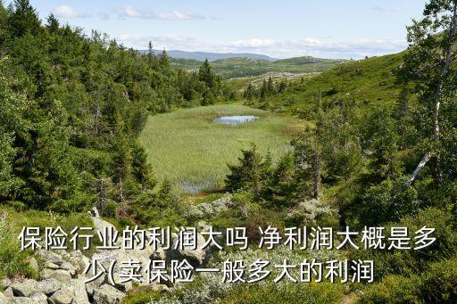 2014壽險(xiǎn)公司凈利潤(rùn)排名,壽險(xiǎn)公司一季度凈利潤(rùn)