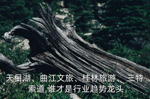 天目湖、曲江文旅、桂林旅游、 三特 索道,誰(shuí)才是行業(yè)趨勢(shì)龍頭