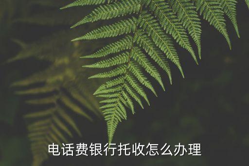 電話(huà)費(fèi)銀行托收怎么辦理