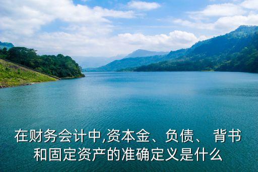 在財務(wù)會計中,資本金、負(fù)債、 背書和固定資產(chǎn)的準(zhǔn)確定義是什么