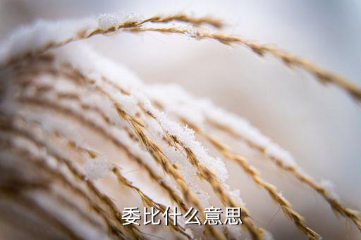 股票里的委比是什么意思,委比是多少買(mǎi)入最好