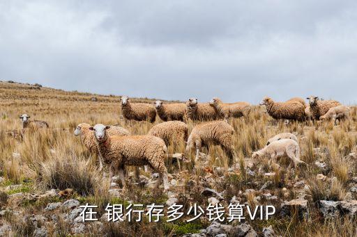 在 銀行存多少錢(qián)算VIP