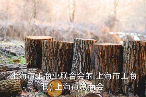  上海市工商業(yè)聯合會的 上海市工商聯( 上海市總商會