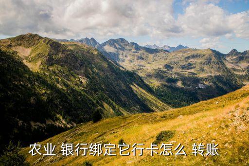 農(nóng)業(yè) 銀行綁定它行卡怎么 轉賬