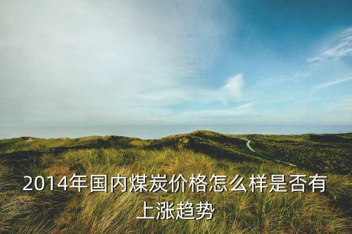 2014年國內(nèi)煤炭價(jià)格怎么樣是否有上漲趨勢