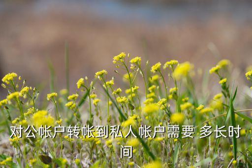 對公帳戶轉帳到私人帳戶需要 多長時間