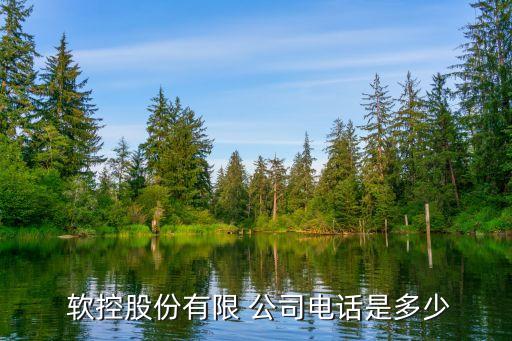  軟控股份有限 公司電話(huà)是多少