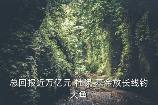 智利的社保基金投資收益率,社?；?022年投資收益率