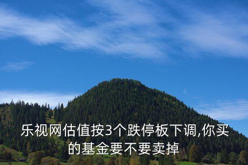  樂視網估值按3個跌停板下調,你買的基金要不要賣掉