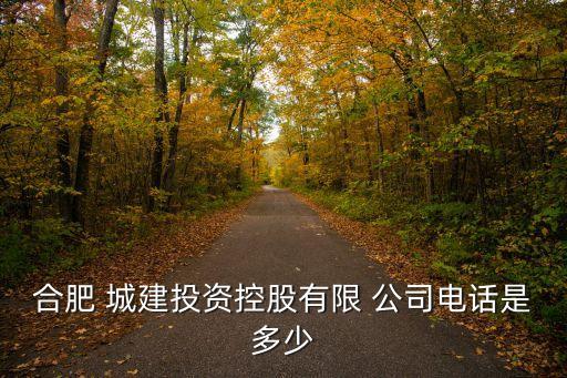 合肥 城建投資控股有限 公司電話(huà)是多少