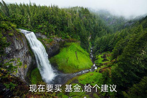 現(xiàn)在要買 基金,給個建議