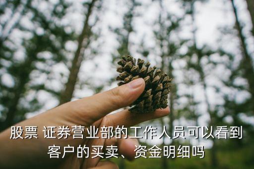 股票 證券營業(yè)部的工作人員可以看到客戶的買賣、資金明細(xì)嗎