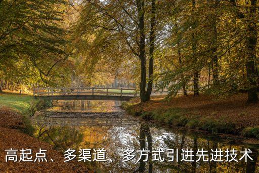 高起點(diǎn)、多渠道、多方式引進(jìn)先進(jìn)技術(shù)