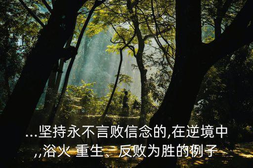 ...堅(jiān)持永不言敗信念的,在逆境中,,浴火 重生、反敗為勝的例子