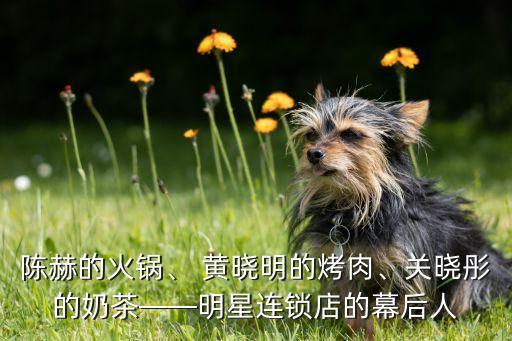 陳赫的火鍋、 黃曉明的烤肉、關(guān)曉彤的奶茶——明星連鎖店的幕后人