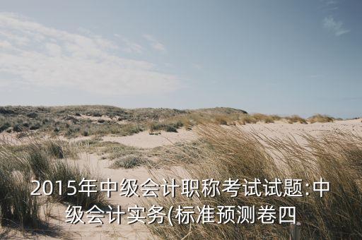 2015年中級會(huì)計(jì)職稱考試試題:中級會(huì)計(jì)實(shí)務(wù)(標(biāo)準(zhǔn)預(yù)測卷四