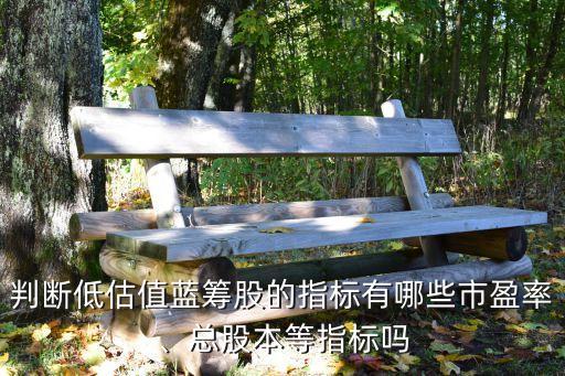 判斷低估值藍(lán)籌股的指標(biāo)有哪些市盈率、總股本等指標(biāo)嗎