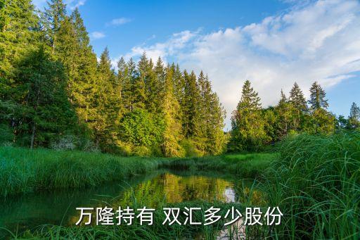 萬(wàn)隆持有 雙匯多少股份