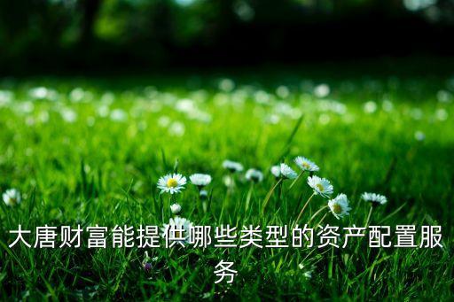 大唐財富能提供哪些類型的資產配置服務