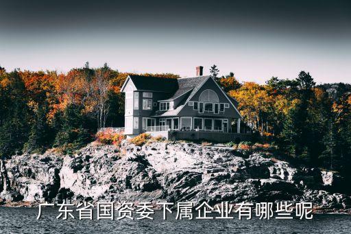 廣東省國(guó)資委下屬企業(yè)有哪些呢