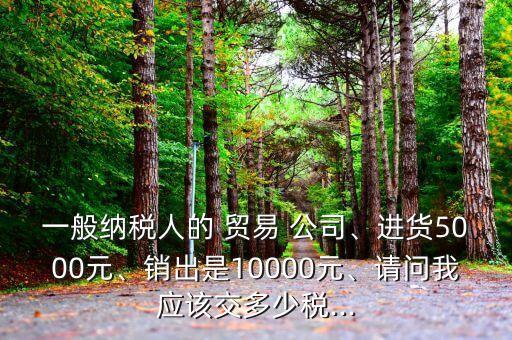 一般納稅人的 貿易 公司、進貨5000元、銷出是10000元、請問我應該交多少稅...