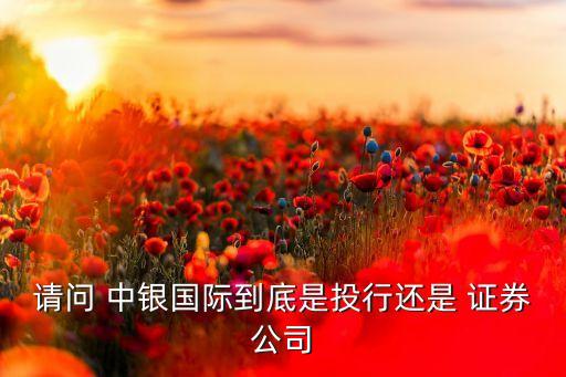 請(qǐng)問 中銀國際到底是投行還是 證券公司