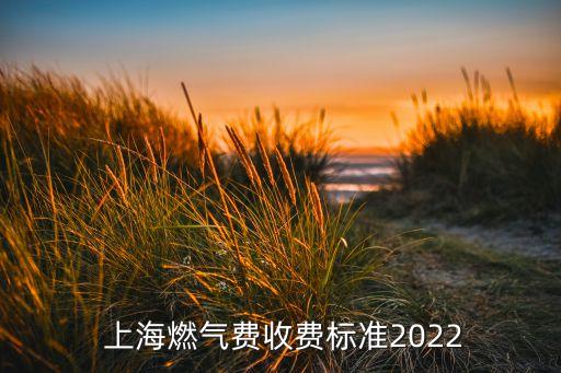  上海燃氣費收費標準2022