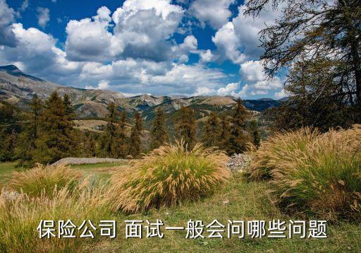 保險(xiǎn)公司 面試一般會問哪些問題