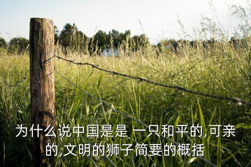 為什么說中國是是 一只和平的,可親的,文明的獅子簡(jiǎn)要的概括