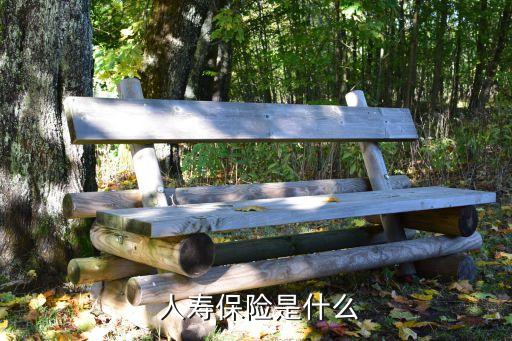 儲蓄險中國人民人壽,人民人壽學(xué)平險怎么報(bào)