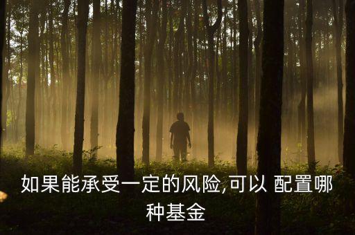 如果能承受一定的風險,可以 配置哪種基金