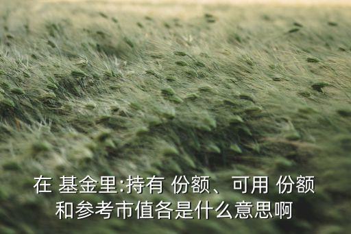 在 基金里:持有 份額、可用 份額和參考市值各是什么意思啊
