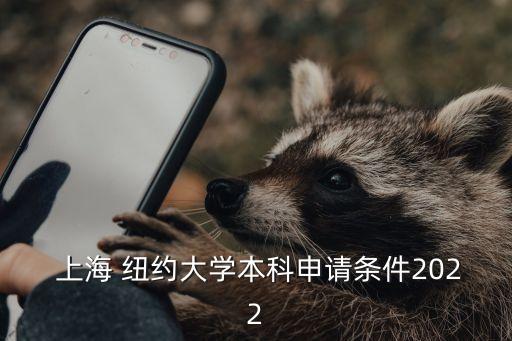 上海紐約大學(xué)招標公告