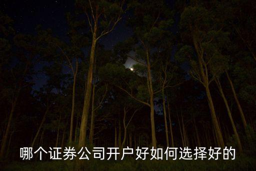 哪個(gè)證券公司開(kāi)戶(hù)好如何選擇好的