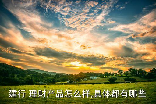 建行 理財產品怎么樣,具體都有哪些