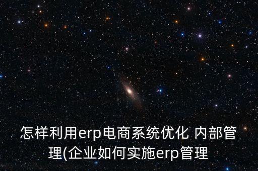 龐大汽貿集團內部管理門戶