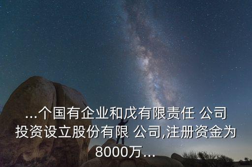 ...個(gè)國有企業(yè)和戊有限責(zé)任 公司投資設(shè)立股份有限 公司,注冊(cè)資金為8000萬...