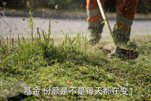 基金持有份額會(huì)變嗎,基金怎么玩才能賺錢(qián)
