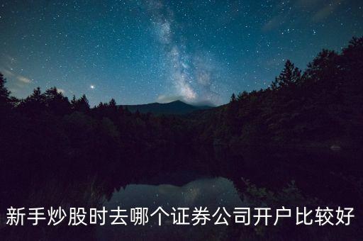 新手炒股時(shí)去哪個(gè)證券公司開(kāi)戶(hù)比較好