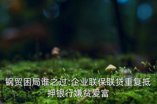 鋼貿困局誰之過:企業(yè)聯(lián)保聯(lián)貸重復抵押銀行嫌貧愛富