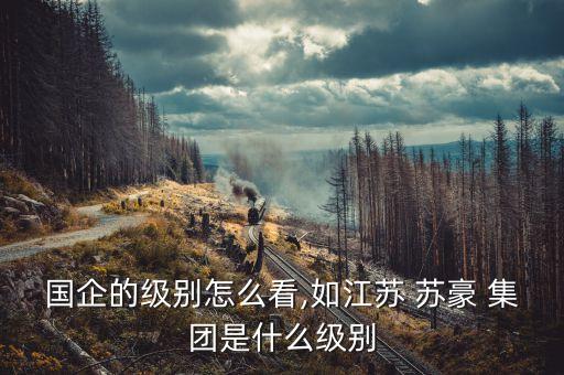 國企的級(jí)別怎么看,如江蘇 蘇豪 集團(tuán)是什么級(jí)別