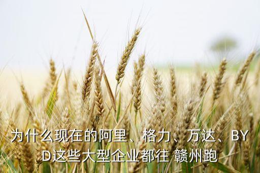 為什么現(xiàn)在的阿里、格力、萬(wàn)達(dá)、BYD這些大型企業(yè)都往 贛州跑