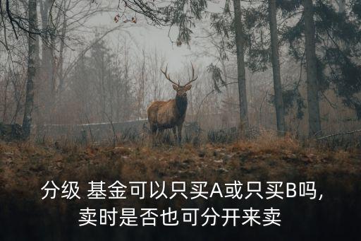  分級 基金可以只買A或只買B嗎,賣時(shí)是否也可分開來賣