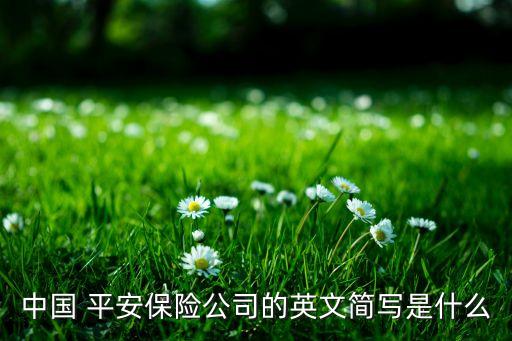 中國(guó) 平安保險(xiǎn)公司的英文簡(jiǎn)寫(xiě)是什么