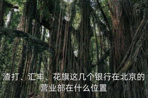 渣打、匯豐、花旗這幾個銀行在北京的營業(yè)部在什么位置